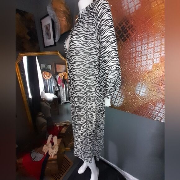 Zara NWT Sheer Zebra Print Midi Tunic Dress - Picture 6 of 16